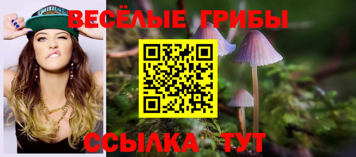 Псилоцибиновые грибы Cubensis Карпинск